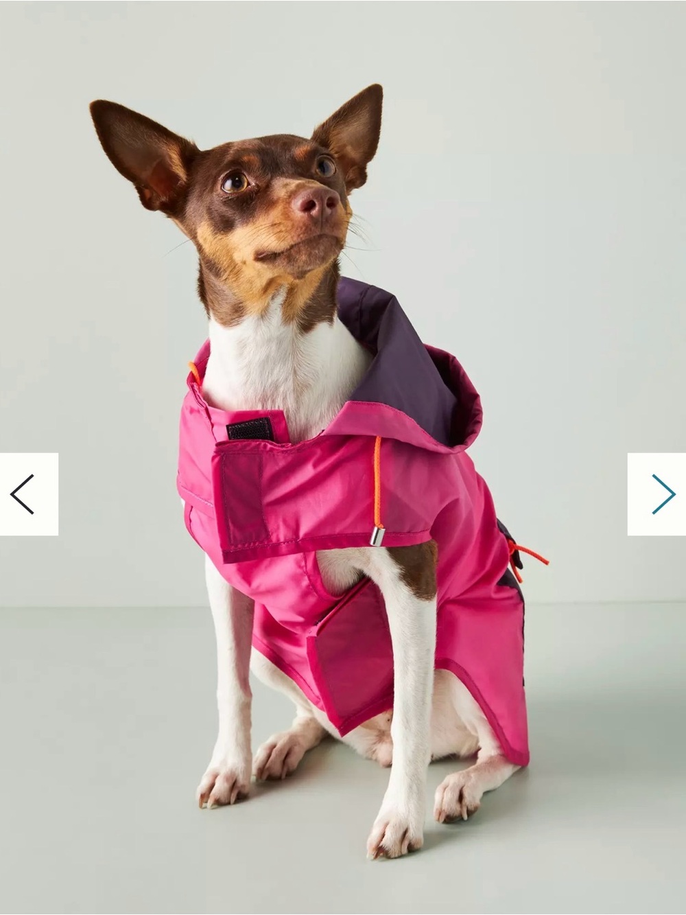 Anthropologie x WARE of the DOG Hooded Raincoat in Pink/Purple - Like new